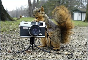 canon Large